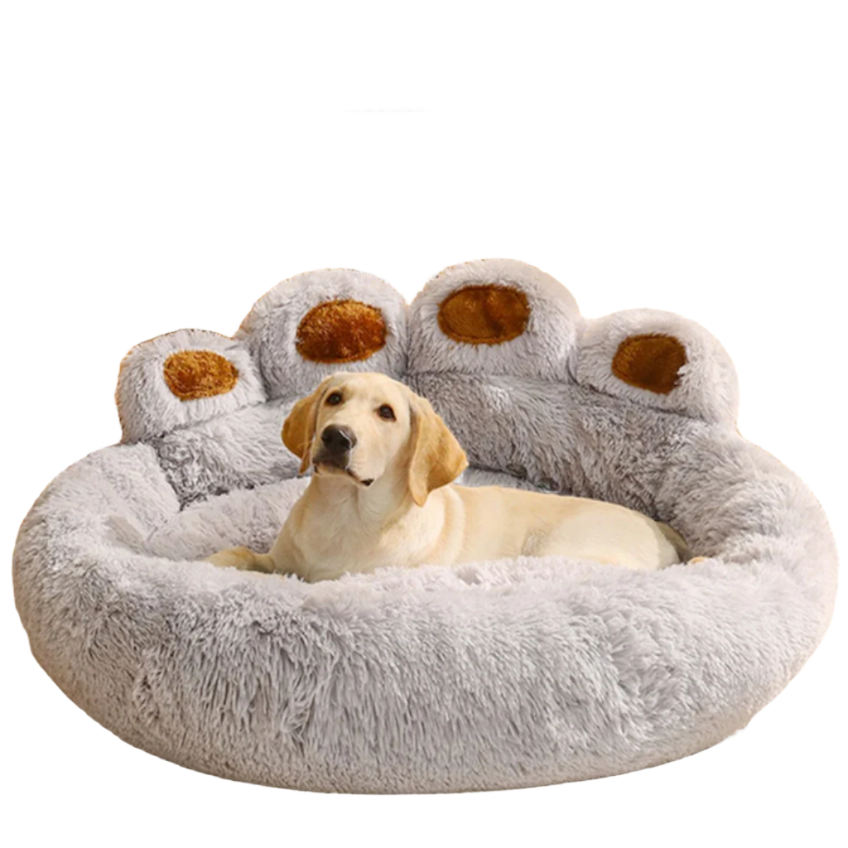 paw - מיטת כלב